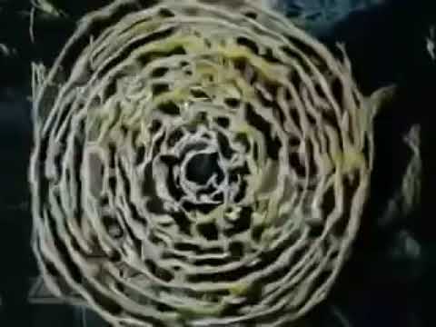 Trailer Into the labyrinth tv show intro 1981