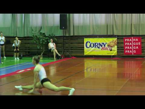 SEN IW - Adela Misarova