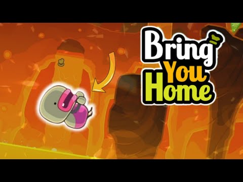 This Game Is So Confusing But Fun At The Same time | Bring You Home