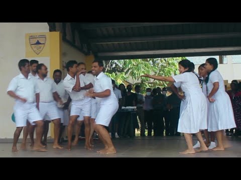 Moda Band - මෝඩ බෑන්ඩ් | World Children's Day Celebration 2022