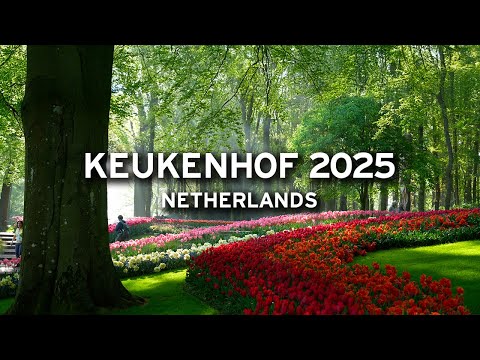 🇳🇱 Ein ganzer Tag in Keukenhof – 29. April 2025 | Von morgens bis abends 🌞 🌷   [4K]