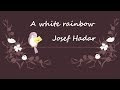 A white rainbow - Josef Hadar - Chant de paix 