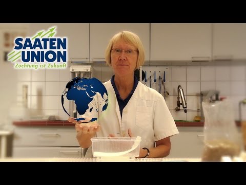 Wir sind die Saaten-Union – Inge Stoldt