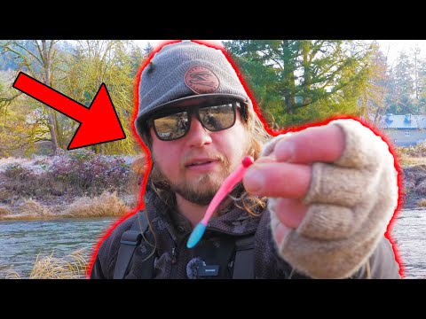 Bank FISHING Winter STEELHEAD Tips & TRICKS!