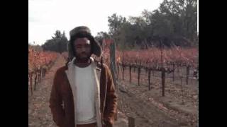 Childish Gambino - What Kind Of Love [FREE DOWNLOAD]