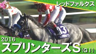 【大接戦！勝ち馬から最下位まで僅かコンマ7秒】2016年スプリンターズステークス(ＧⅠ) レッドファルクス【カンテレ公式】