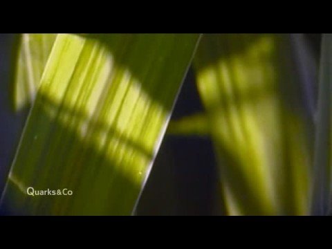 Quarks & Co - Was tanken wir in Zukunft? 2/5