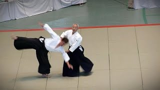 Aikido - Endo Seishiro Shihan - 51st All Japan Aikido Demonstration 2013