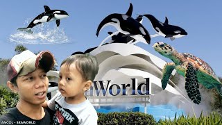 Download lagu Mengenal Kehidupan Bawah Laut Seaworld Ancol mp3 Download lagu Mengenal Kehidupan Bawah Laut Seaworld Ancol mp3