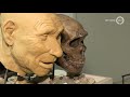 In dit museum kom je ogen en oren tekort