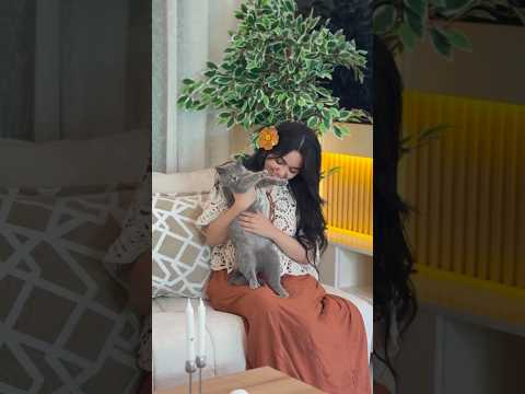 سلسة وجبات قطتي الحامل 🤰🏻🎀 #viral #shorts