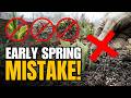 5 Silent Killers in Your Early Spring Garden (And How to Fix Them)