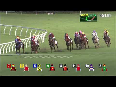 22/6/2022 (762) Cigar Buddies - A Hamelin