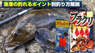簡単でよく釣れる！最強釣法ブラクリ＆ブラーの実釣超解説！