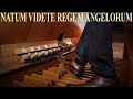 O Come All Ye Faithful Adeste Fideles Fanfare For Organ Markus Süß Organ Arr Christmas