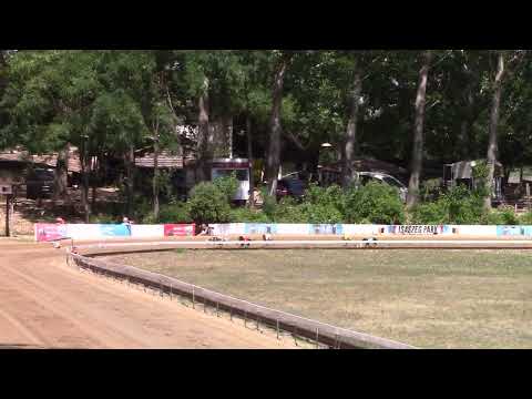 Czech Derby Final - Whippet  OR  275m