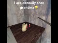 I Accidentally Shot Grandma In Granny Vr Shorts Trending Funny Bigdew Thespicy Breaded