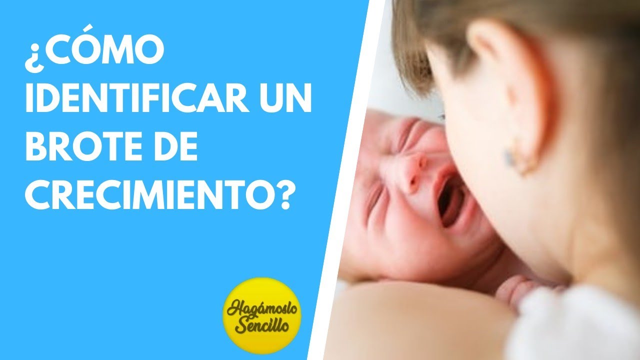 Watch CRISIS DE LACTANCIA O BROTES DE CRECIMIENTO😭❌ ¿QUÉ SON, CÚANDO Y QUÉ HACER Now CRISIS DE LACTANCIA O BROTES DE CRECIMIENTO😭❌ ¿QUÉ SON, CÚANDO Y QUÉ HACER