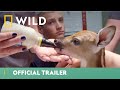 Putting The Heart In Heartland Heartland Docs Official Trailer National Geographic Wild UK