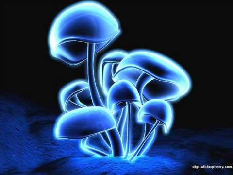 Infected Mushroom - Converting Vegetarians - 2003 Full Album (Disc 1 + Disc 2)