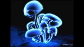 Infected Mushroom - Converting Vegetarians - 2003 Full Album (Disc 1 + Disc 2)