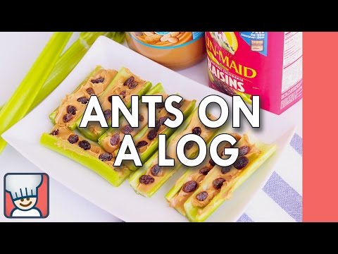 Ants on a Log