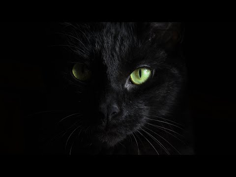 Lossless Audio   audiophile music   Sound Test Audio System Vol 3   NbR Music