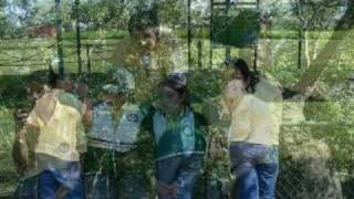 Alineados para siempre, Jumbo