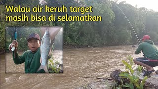 Download lagu Mancing ikan nilem saat air sungai keruh di pagi hari mp3