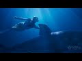 Deep Blue Sea 2 (2018) - Trailer