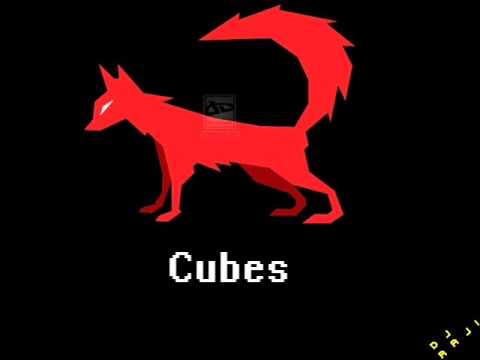 DJ Raji - Cubes
