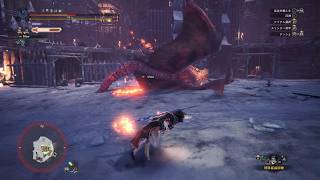 モンスターハンターワールド：アイスボーン_20260810103513