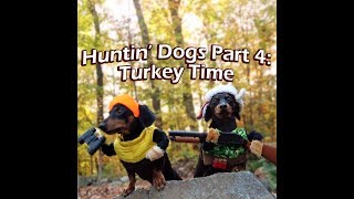 Crusoe & Oakley the Huntin' Dogs: Turkey Time