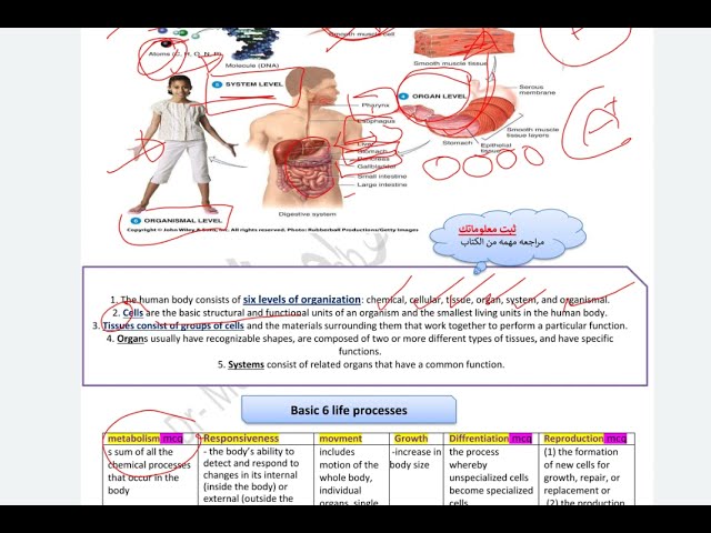اشتراك شرح مادة BIOL102