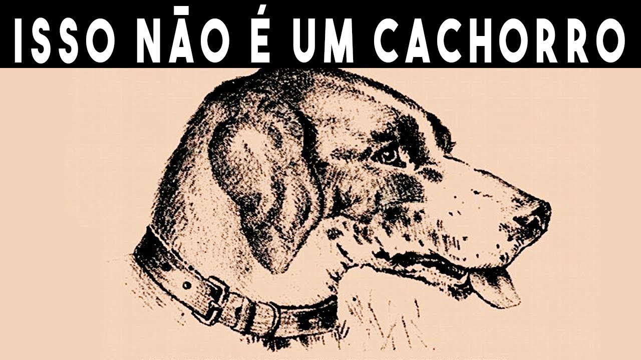 10 ILLUSIONS OF OPTICS THAT WILL GO BLOW YOUR MIND