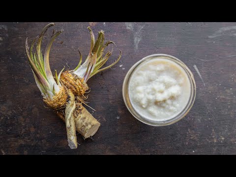 How to Make Prepared Horseradish From Roots