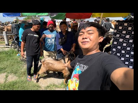 FINALLY GOT A GOAT FOR ELSHA'S AQIQAH, VIEWERS!!! - Denny is a great bargain! 🔥