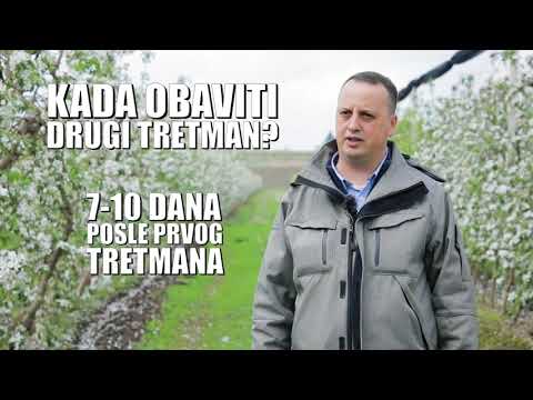 Kako se rešiti jabukinog smotavca pre nego što postane prekasno