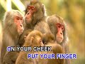 Put Your Finger In The Air