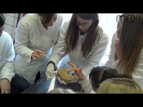 Medicinski fakultet Sveučilišta u Rijeci 2015