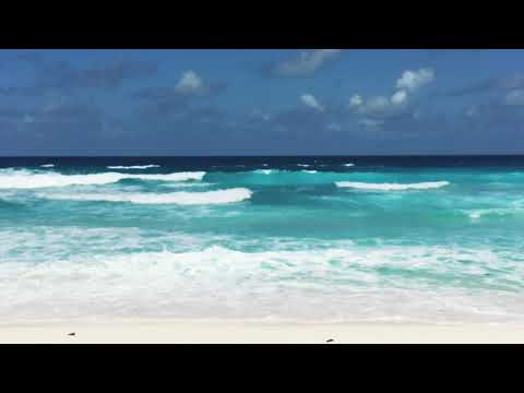 Travel and Life with Roaz channel trailer