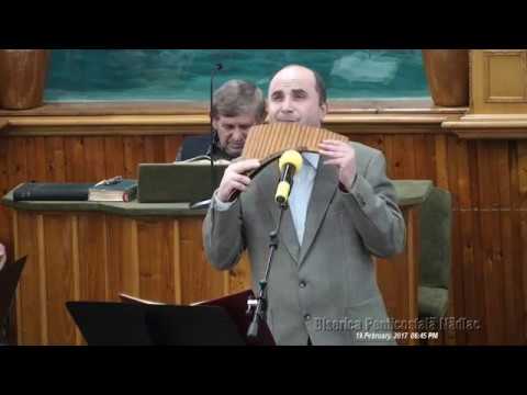 Viorel Manolache - Copil hoinar