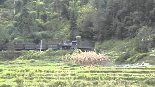 preview picture of video 'Chinese steam - Shibanxi railway loaded coal train races down hill near Caiziba.'
