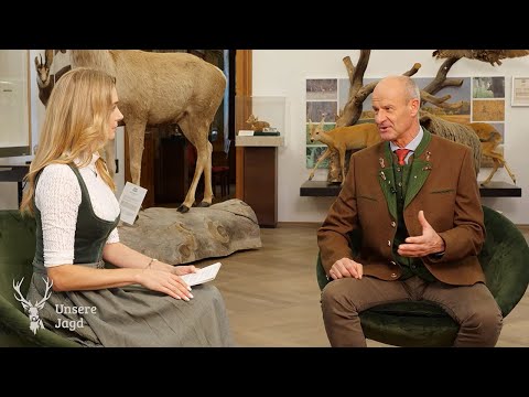 LT1 Special: The Show with the Hunt