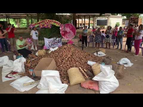 Movimento das crebradeira de coco babaçu de São Domingos Do Araguaia 