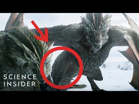 ゲーム・オブ・スローンズ」のドラゴンが実生活で飛べなかった理由 (Why The 'Game Of Thrones' Dragons Couldn't Fly In Real Life)