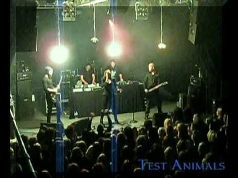 Velcra - Test Animals