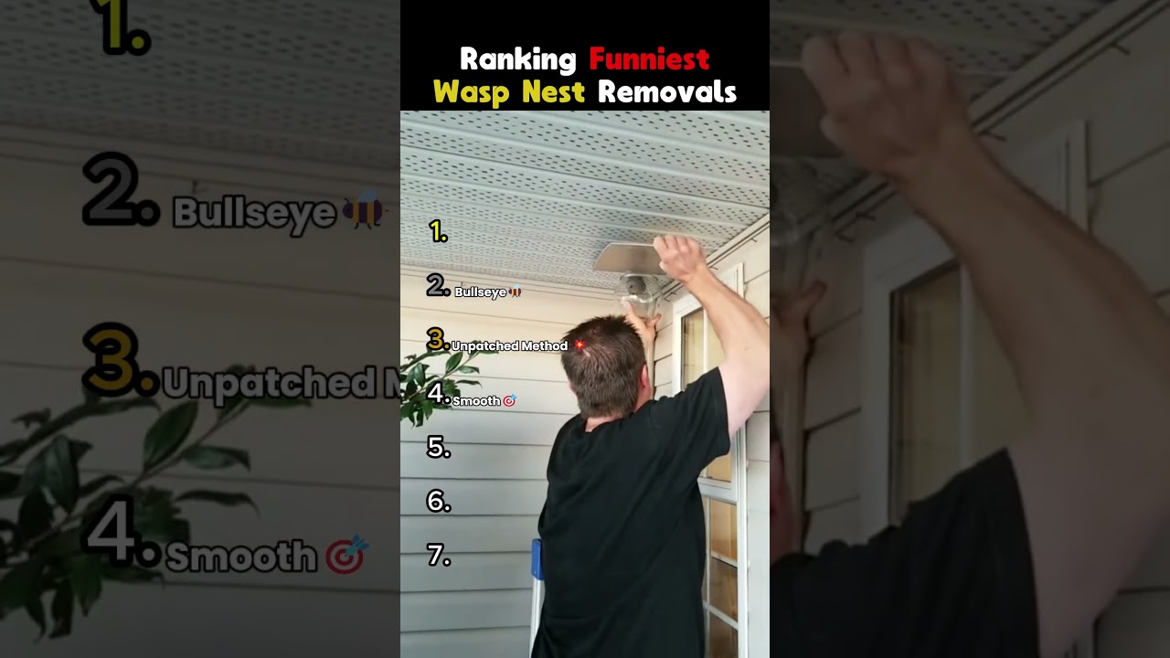 Ranking Craziest Wasp Nest Removals