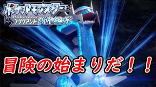 ポケットモンスターブリリアントダイヤモンドを遊びつくす！