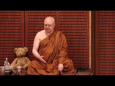 2021 January (12/18) | 9 day Meditation Retreat | Ajahn Brahmavamso